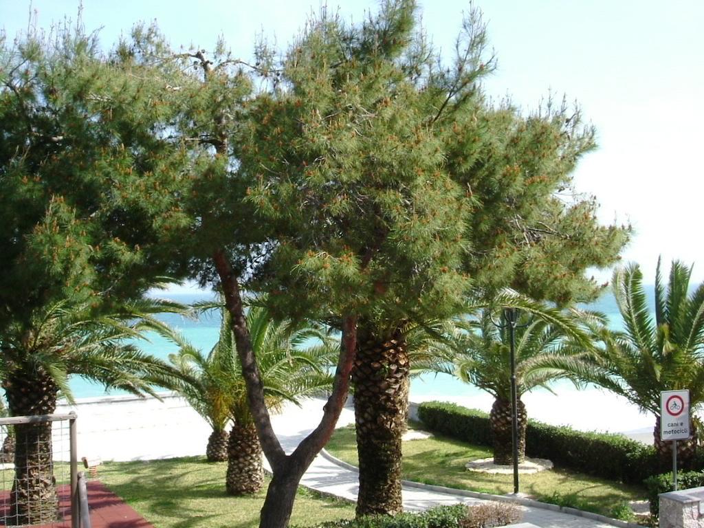 Taormina Beach House Mazzeo Chambre photo